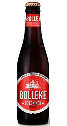 Bolleke